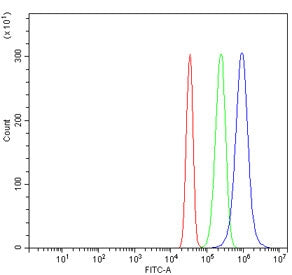ERLEC1 Antibody