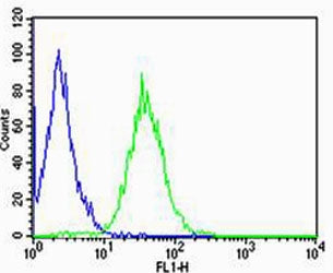 Flow cytometric analysis of Raji cells using CD74 antibody (green) and an isotype control of mouse I