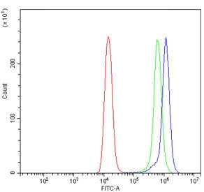 Alpha Adaptin Antibody / AP2A1
