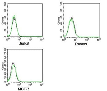 Rabbit IgG Isotype Control Polyclonal Antibody FITC Conjugate