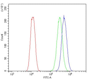 B7H4 Antibody / VTCN1