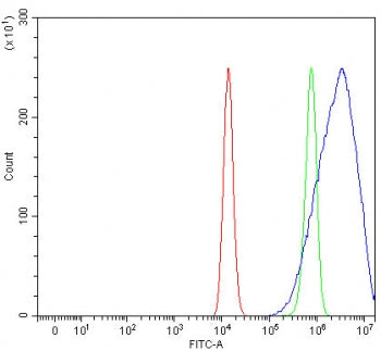 SVOPL Antibody / SV2-related protein-like