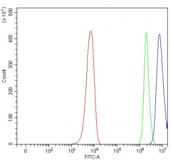 PAN2 Antibody / PAN deadenylation complex subunit 2 / USP52