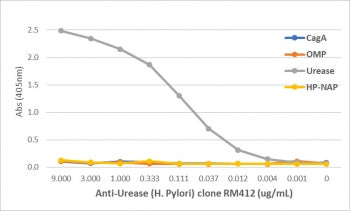 Helicobacter pylori Urease Antibody
