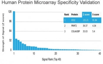 INDOL1 Antibody / IDO2