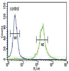 Inhibin alpha Antibody / INHA