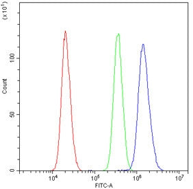 Flow cytometry testing of human U-2 OS cells with AKR1B1 antibody at 1ug/10^6 cells (blocked with go