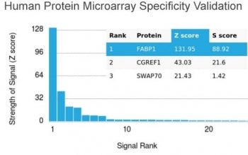 Analysis of HuProt(TM) microarray containing more than 19,000 full-length human proteins using FABP1