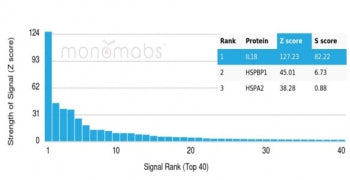 IL-18 Antibody