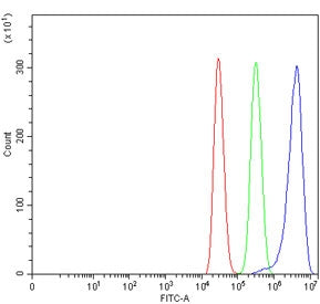 Flow cytometry testing of human MCF7 cells with TSPYL5 antibody at 1ug/million cells (blocked with g