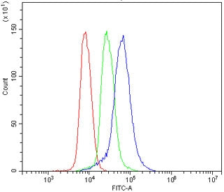 P2ry14 Antibody / P2Y14