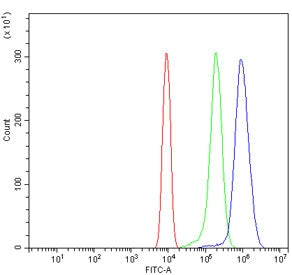Dnmt3l Antibody