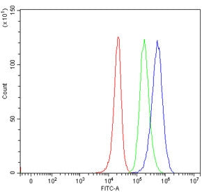 ZBTB48 Antibody / TZAP / HKR3