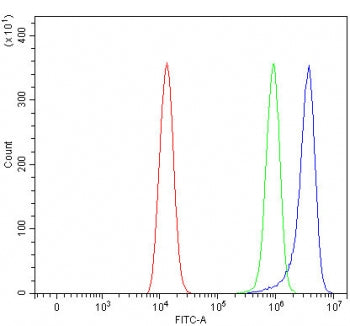 Flow cytometry testing of human HEL cells with RAB44 antibody at 1ug/million cells (blocked with goa