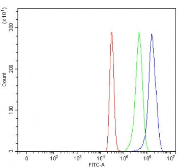 Flow cytometry testing of fixed and permeabilized human HepG2 cells with MRP3 antibody at 1ug/millio