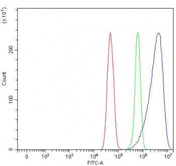 Peroxiredoxin 2 Antibody / PRDX2