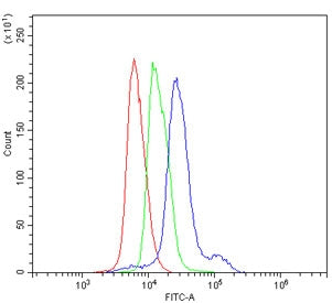 Cd8a Antibody
