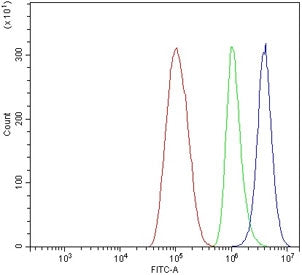 BMPR2 Antibody