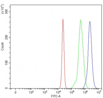 ACSL5 Antibody