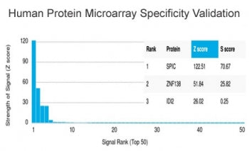 Transcription factor Spi-C / SPIC