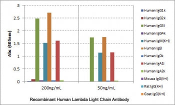 Lambda Light Chain Antibody / Lambda Antibody