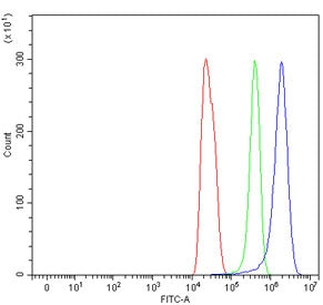 Flow cytometry testing of rat C6 cells with Ccl21 antibody at 1ug/million cells (blocked with goat s