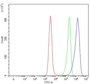 UGT1A10 Antibody / UDP-glucuronosyltransferase 1A10