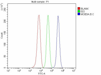 Flow Cytometry analysis of Raji cells using anti-MOB3A/B/C antibody. Overlay histogram showing Raji 