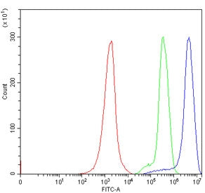 Flow cytometry testing of human Jurkat cells with ATG4B antibody at 1ug/million cells (blocked with 