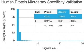 Analysis of HuProt(TM) microarray containing more than 19,000 full-length human proteins using CD1a 