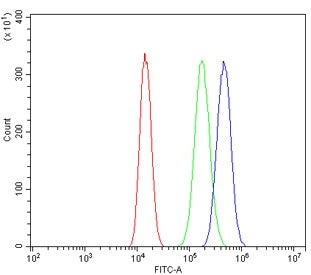 Flow cytometry testing of human A549 cells with TRAF1 antibody at 1ug/million cells (blocked with go