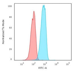 CD74 / CLIP Antibody