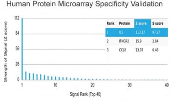 Interleukin 5 Antibody / IL5