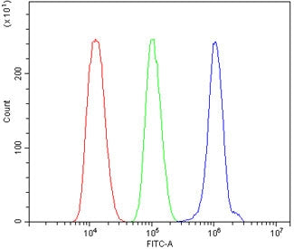 Flow cytometry testing of human ThP-1 cells with Toll-like Receptor 1 antibody at 1ug/million cells 
