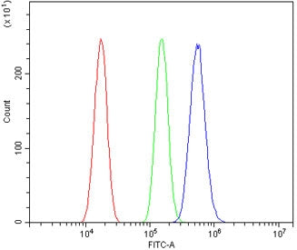 PAX3 Antibody