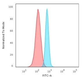 Flow cytometry staining of human HeLa cells with Spectrin beta III antibody; Red=isotype control, Bl