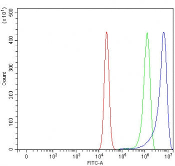 Flow cytometry testing of human RT4 cells with ATG12 antibody at 1ug/million cells (blocked with goa