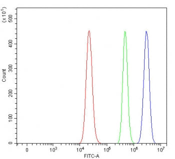 Flow cytometry testing of human RT4 cells with RPAIN antibody at 1ug/million cells (blocked with goa