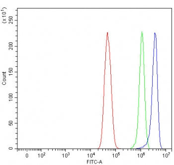 Flow cytometry testing of fixed and permeabilized human U-251 cells with Mitoguardin 1 antibody at 1