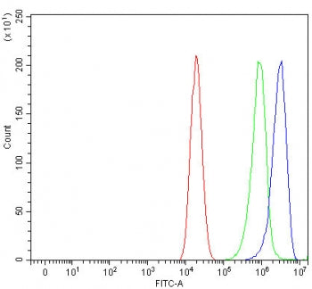 Flow cytometry testing of human Caco-2 cells with PSMB7 antibody at 1ug/million cells (blocked with 