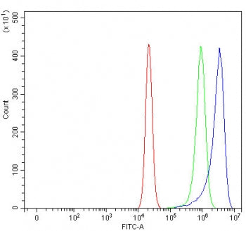 Paraoxonase 2 Antibody / PON2