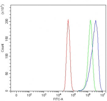 Flow cytometry testing of human U-251 cells with Bcl-2-related ovarian killer protein antibody at 1u