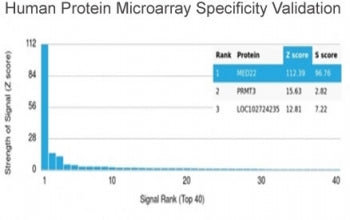 MED22 Antibody