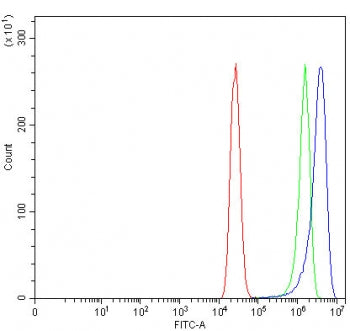 LSR Antibody / Lipolysis-stimulated lipoprotein receptor