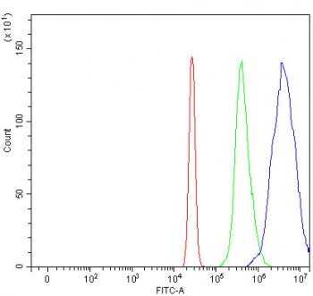 APEX2 Antibody