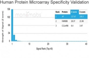 Haptoglobin Antibody