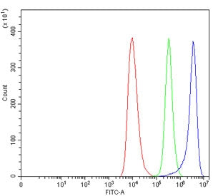 Flow cytometry testing of fixed and permeabilized human HEL cells with ADRA2A antibody at 1ug/millio