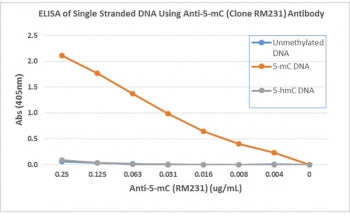 5-Methylcytosine Antibody (5mC)