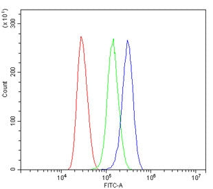 Flow cytometry testing of human Jurkat cells with ARG1 antibody at 1ug/million cells (blocked with g