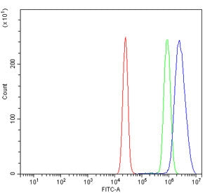 Flow cytometry testing of human K562 cells with Prospero homeobox protein 1 antibody at 1ug/million 